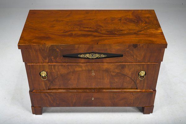 photo furniture Early 19th Century Biedermeier Mahogany Commodes, 1830s