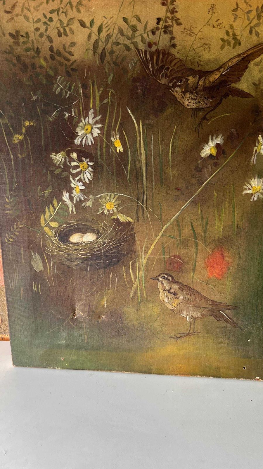 19th Century Oil Painting On Canvas – Nesting Birds In A Meadow photo buy