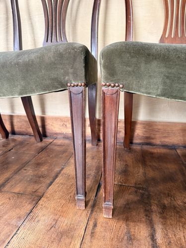 Rare Original Howard & Sons Antique Green Carver Elbow Dining Chairs Set Of 8 photo buy