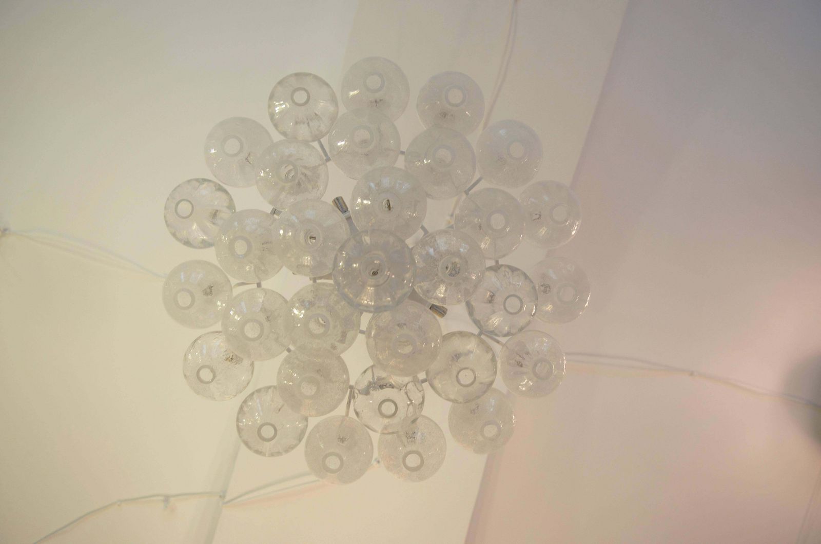 photo for sale Grote Kalmar Tulipan Hanglamp