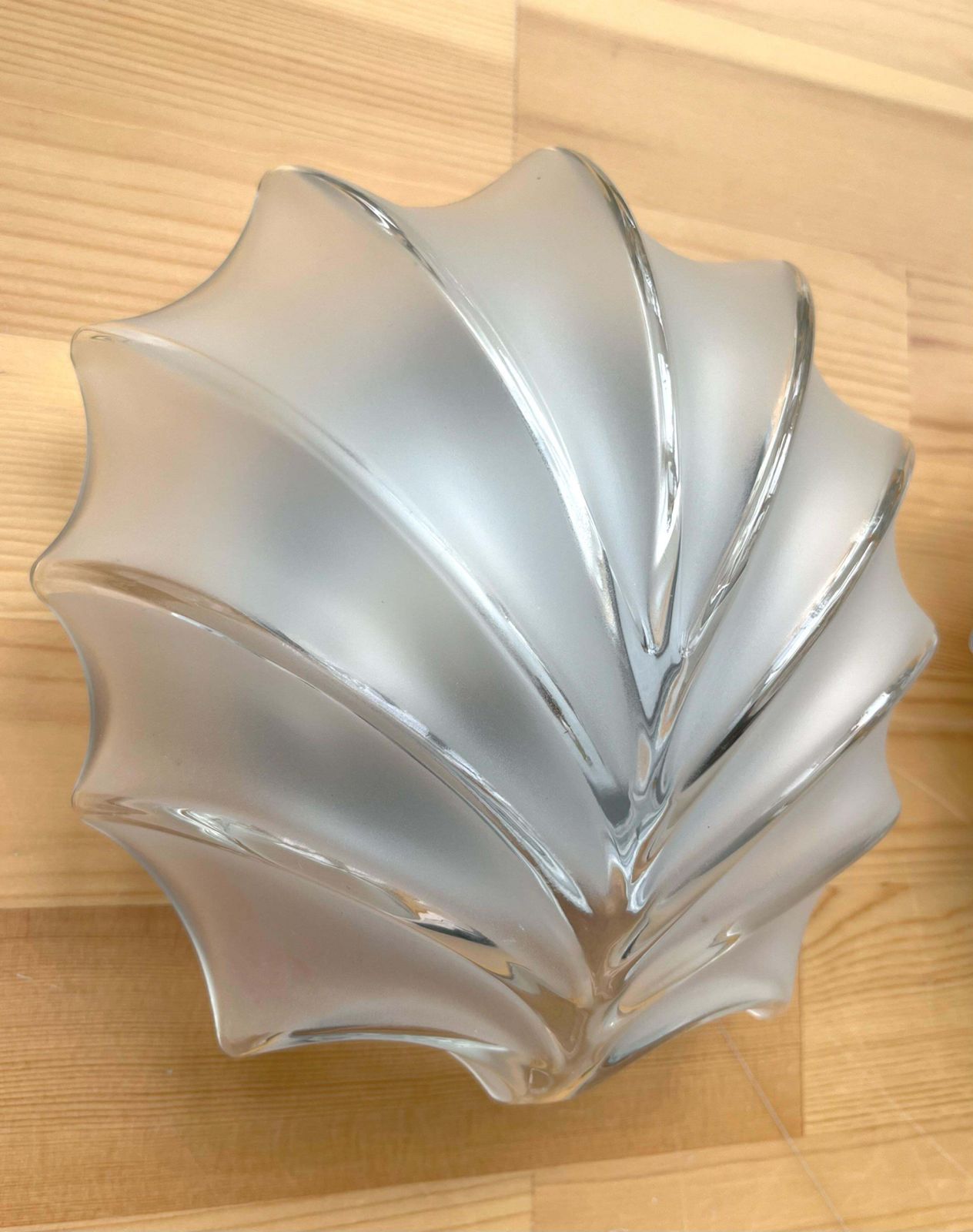 German Mid Century Shell Clear Glass Pair Of Wall Sconces By Hillebrand, 1970s photo for sale