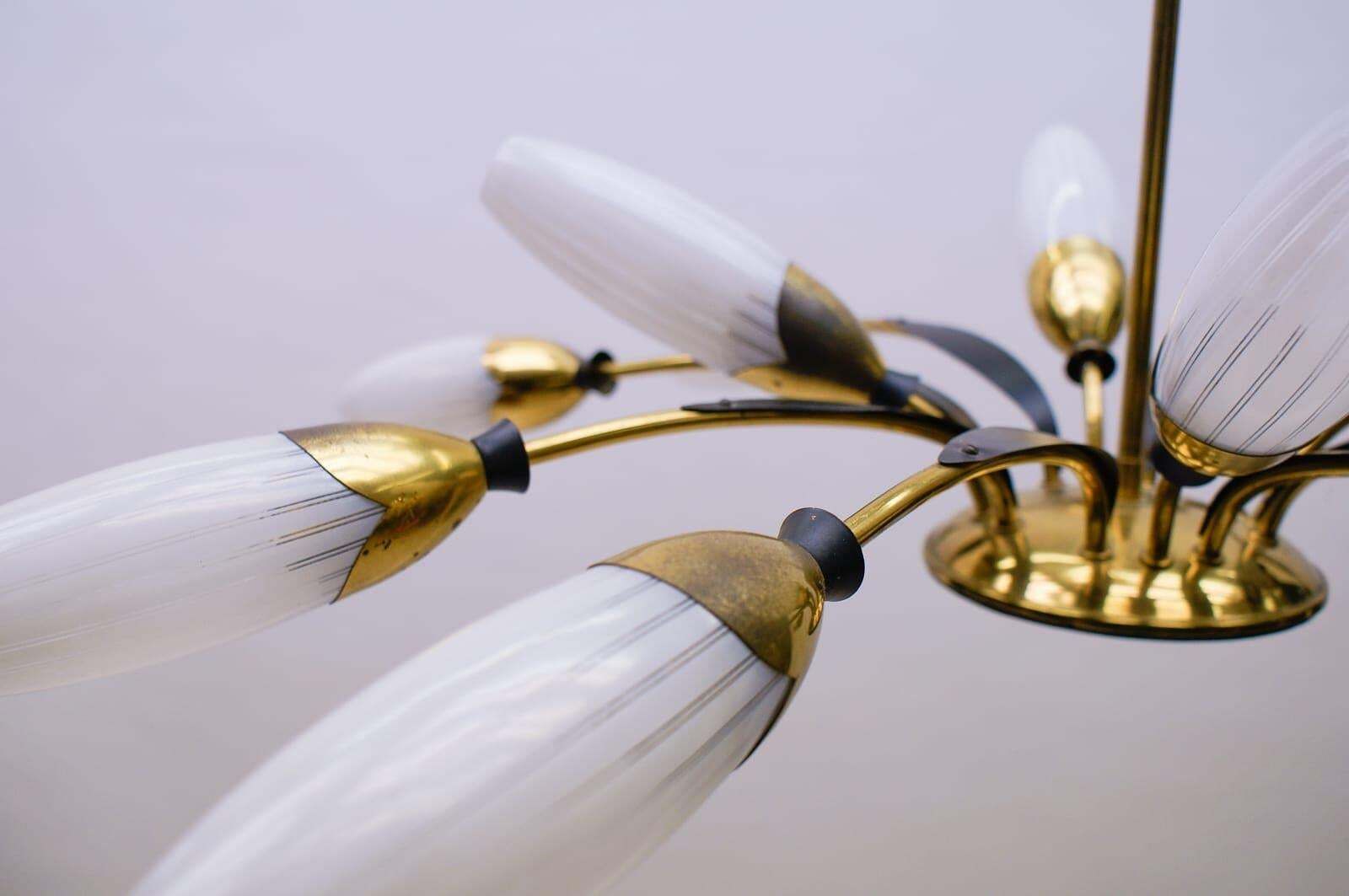 Mid Century Italian Brass And Glass 12 Arm Sputnik Ceiling Lamp, 1950s photo buy
