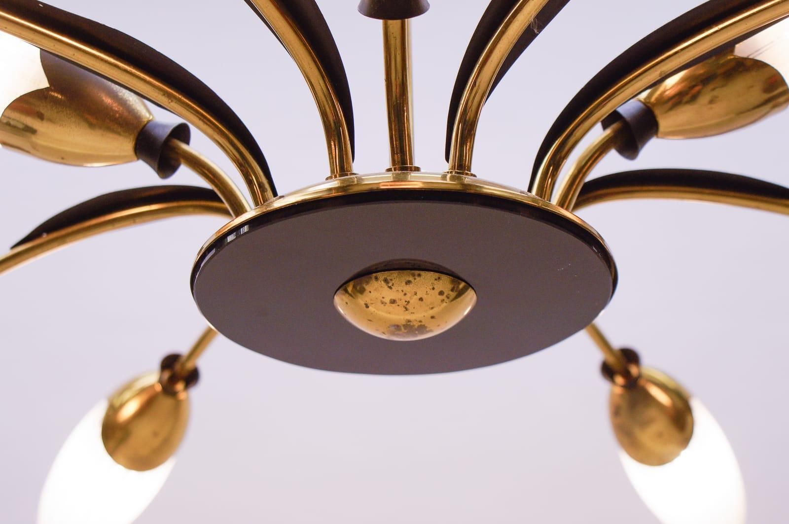 1529.0 Mid Century Italian Brass And Glass 12 Arm Sputnik Ceiling Lamp, 1950s photo