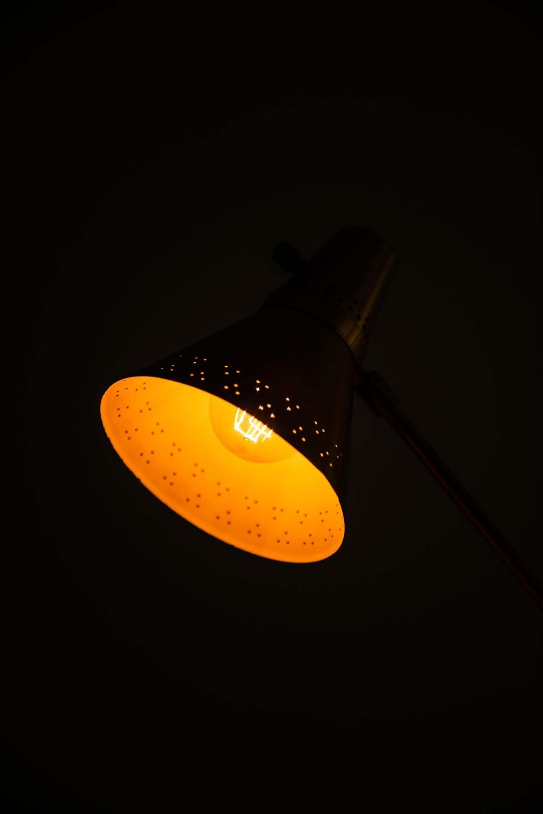 Table Lamp In Brass And Snakeskin Produced By Ab E. Hansson & Co In Sweden photo vintage