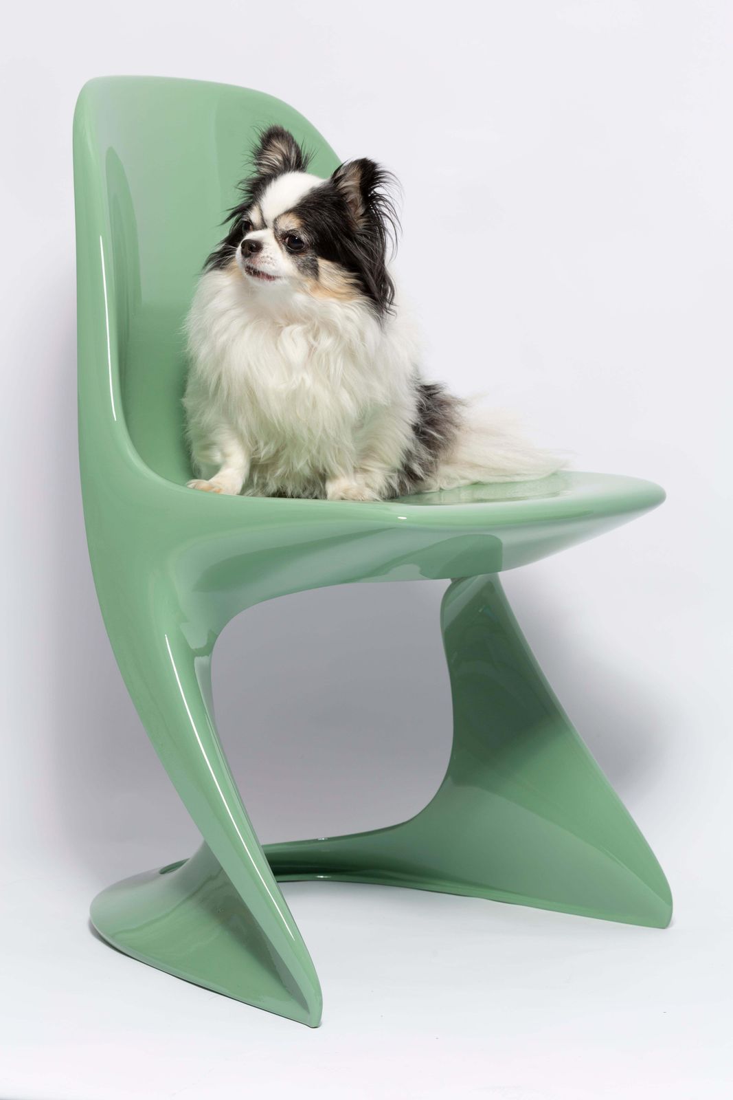 Four Mid Century Casalino Chairs In Jade Green, Alexander Begge, Casala, 1970s photo furniture