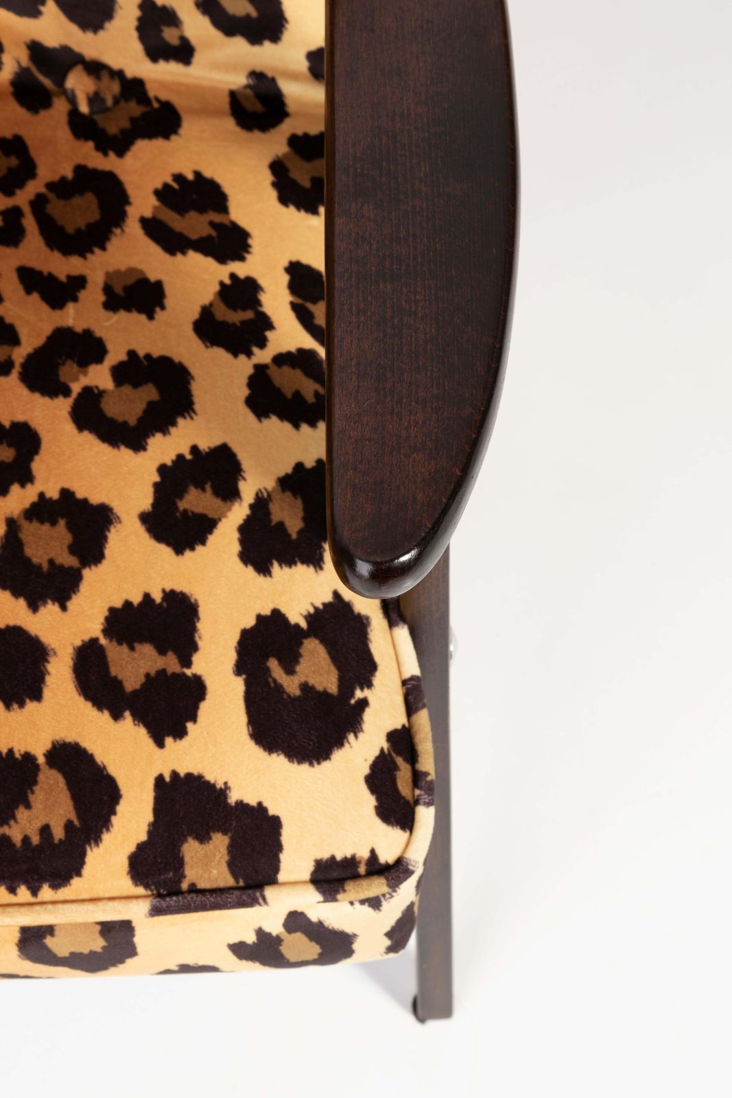 Midcentury 366 Armchair In Leopard Print Velvet, Jozef Chierowski, 1960s photo vintage