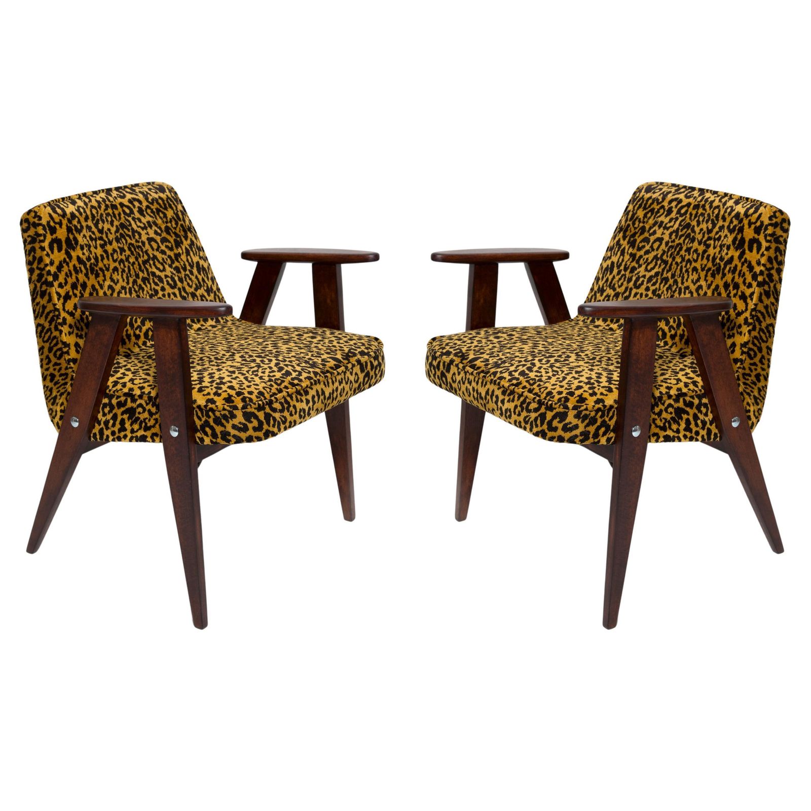 Two Mid Century 366 Armchairs In Leopard Velvet, Jozef Chierowski, Europe 1960s