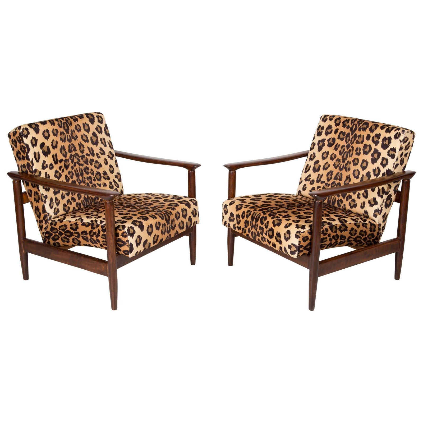 Pair Of Leopard Print Velvet Armchairs, Edmund Homa, Gfm 142, 1960s, Poland