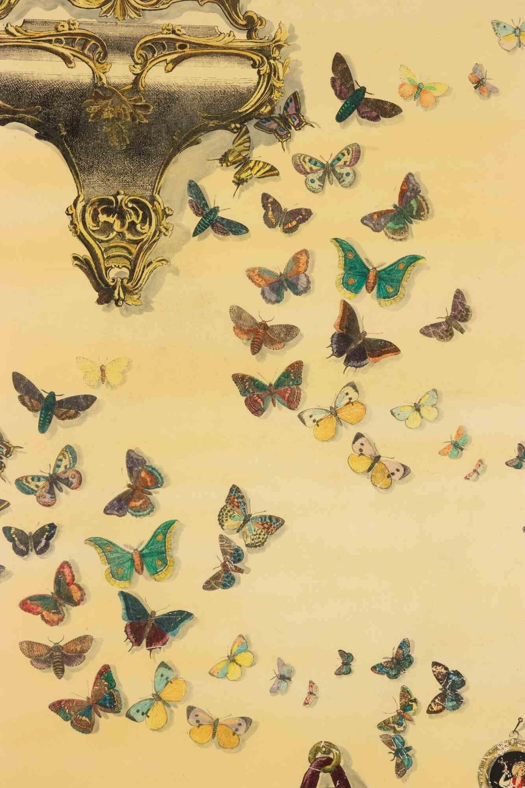 Fornasetti's Panel By Piero Fornasetti, 1950s photo furniture