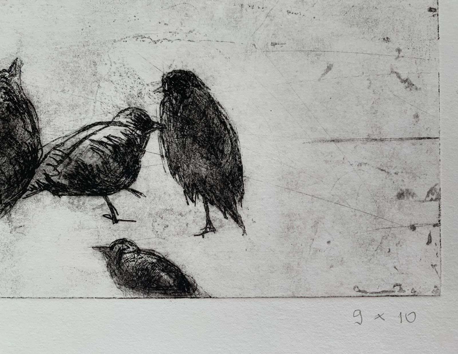 Anna Mikkebirds   Xxi Century, Figurative Print, Black And White, Animals2009 photo Art