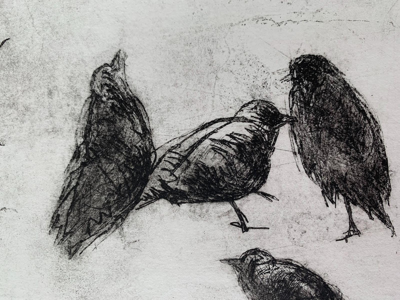 Anna Mikkebirds   Xxi Century, Figurative Print, Black And White, Animals2009 photo 128.0