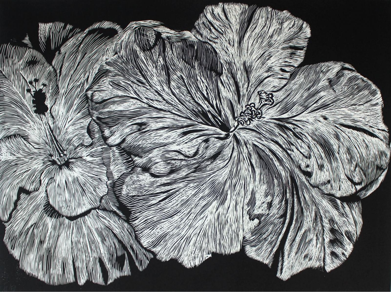 Marta Bozykhibiscus   Xxi Century, Linocut, Flower, Contemporary Figurative Art2018