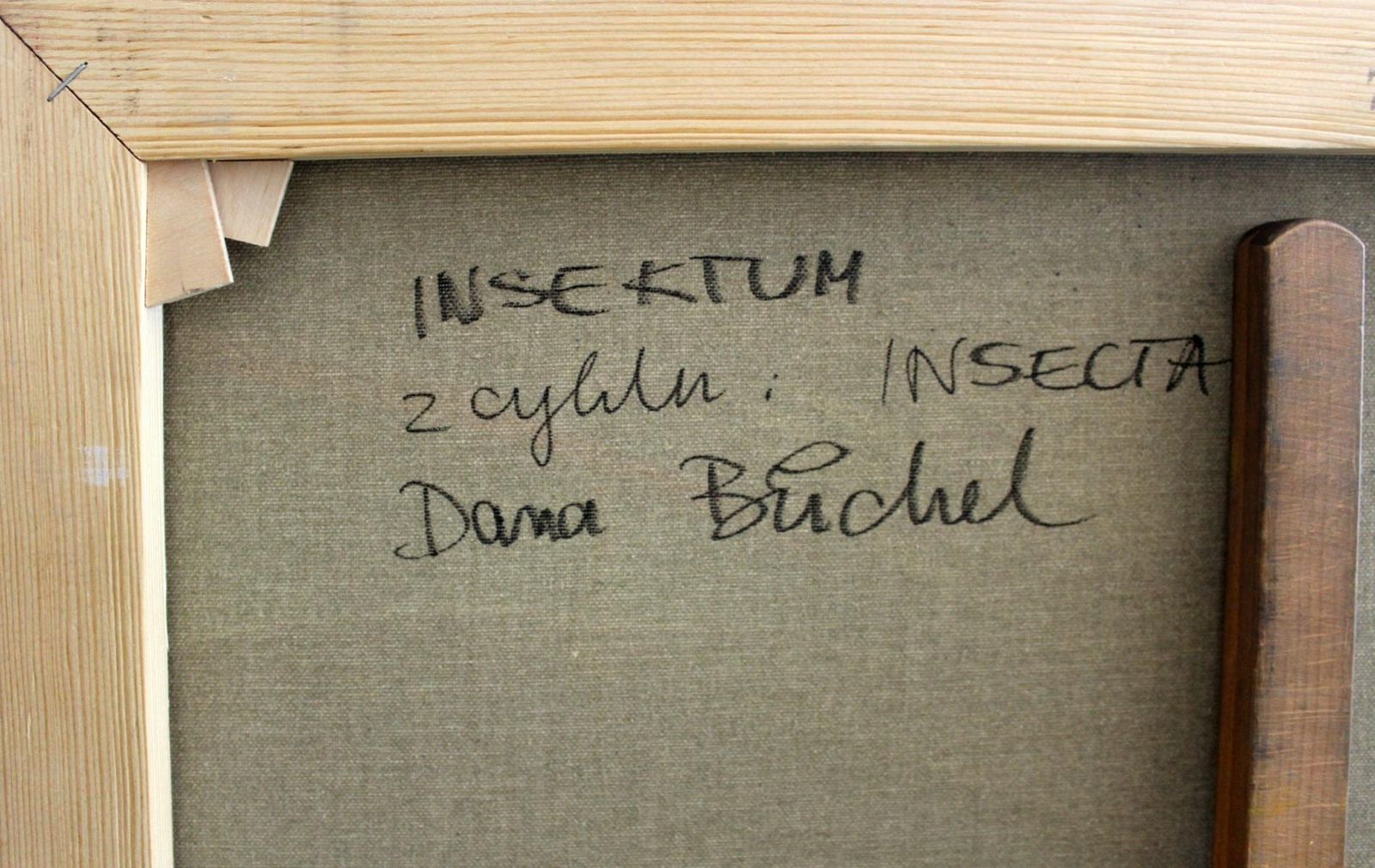 Dana Buchelinsektum   Xxi Century, Oil Colourful Painting, Abstraction2014 photo furniture