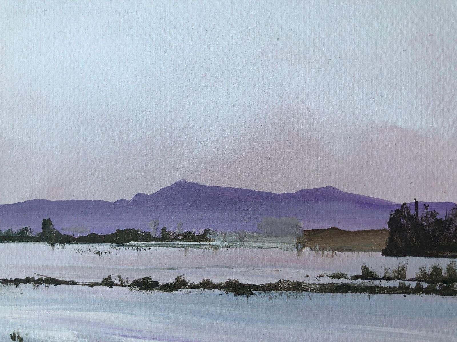 Alberto Biesok Pink Mountain Acrylic Paint On Board Landscape 2020 photo Art