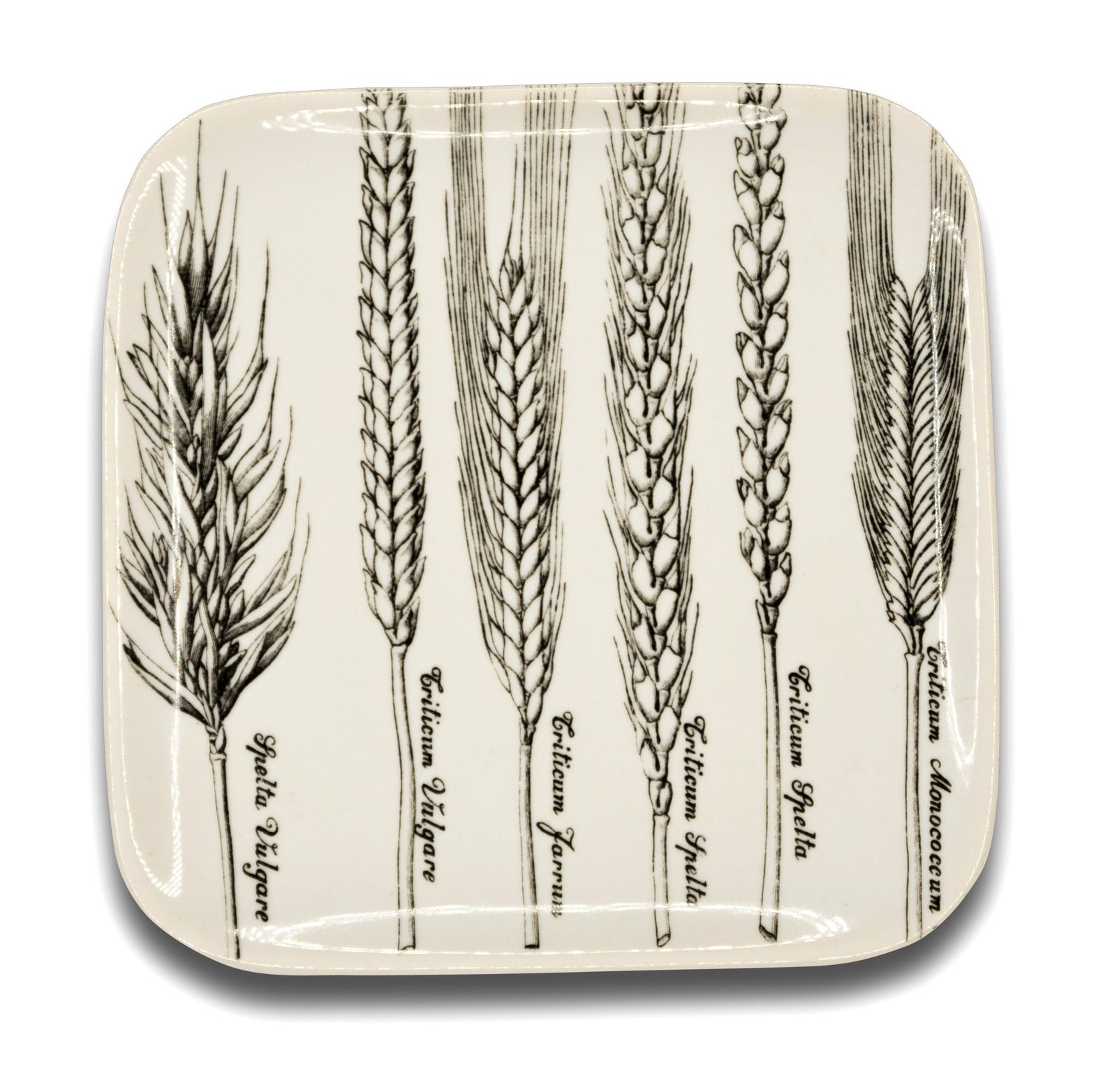 Six Dishes "Serie Spighe" 'Spikes Series' By Piero Fornasetti, 1960s photo for sale