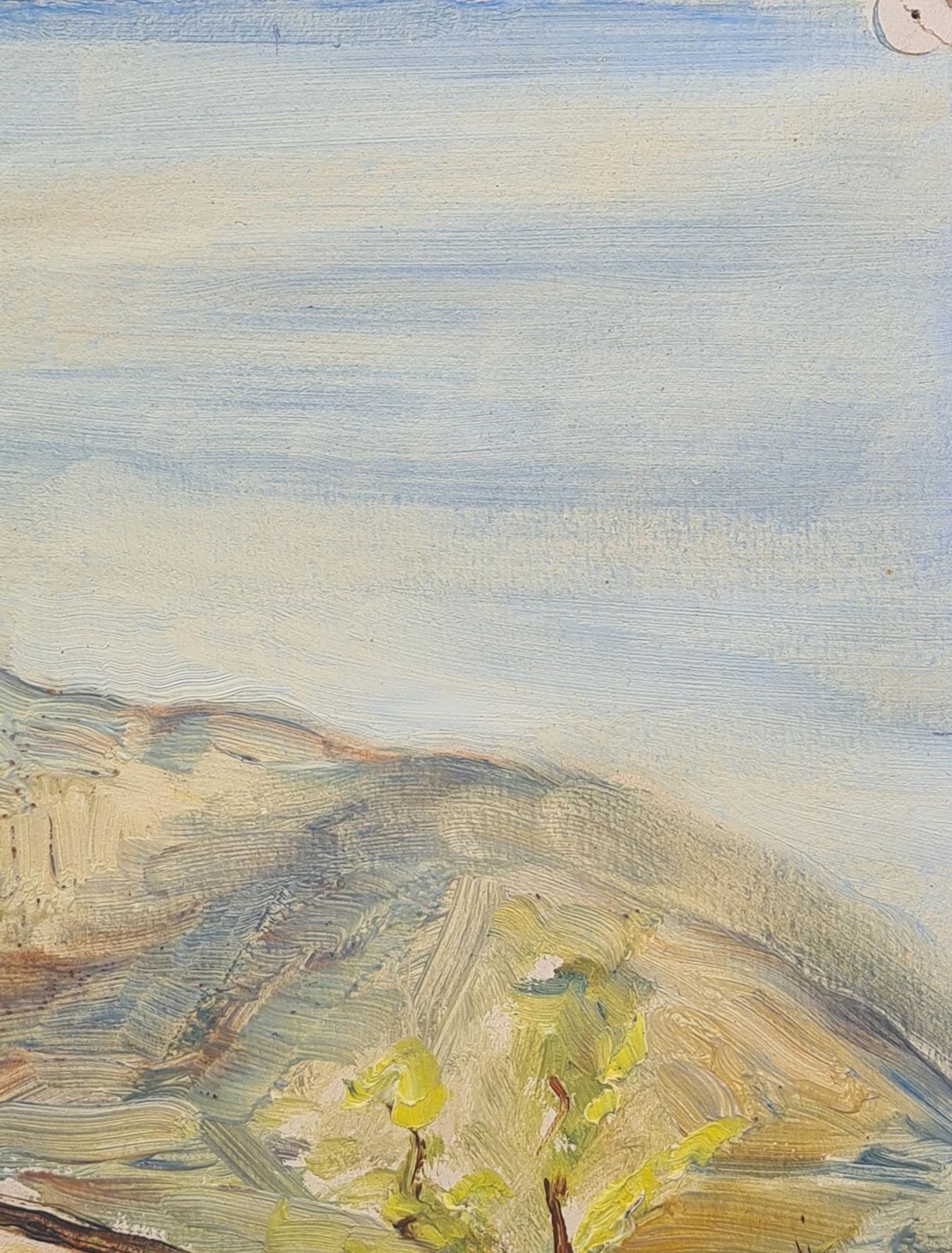 Henri Clamen1930s French Impressionist Oil Of A Garden And Mountain Landscape photo 391.0