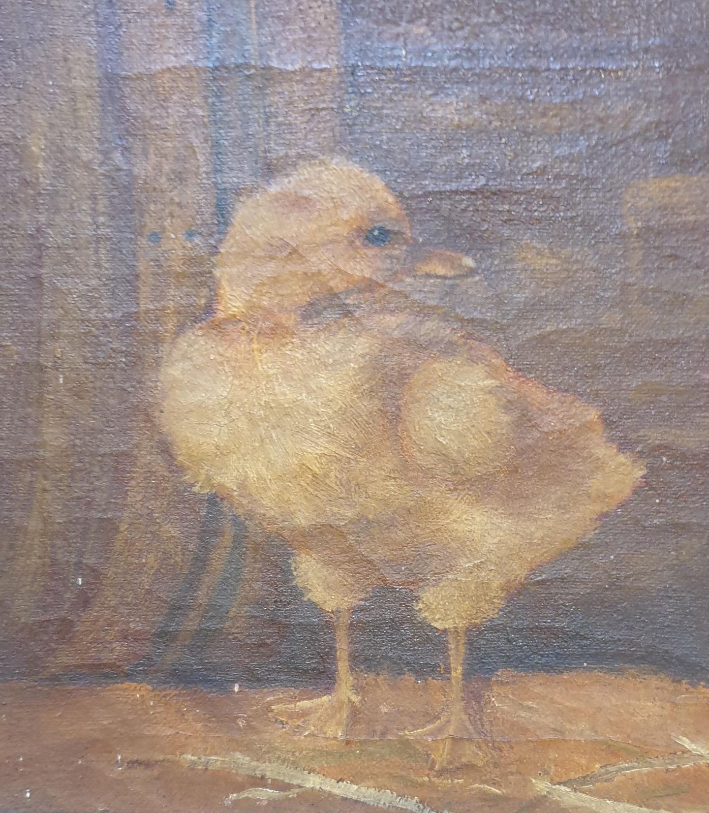 Unknown'the Ducklings'. Late 19th Century Oil On Canvas.1890s photo Art