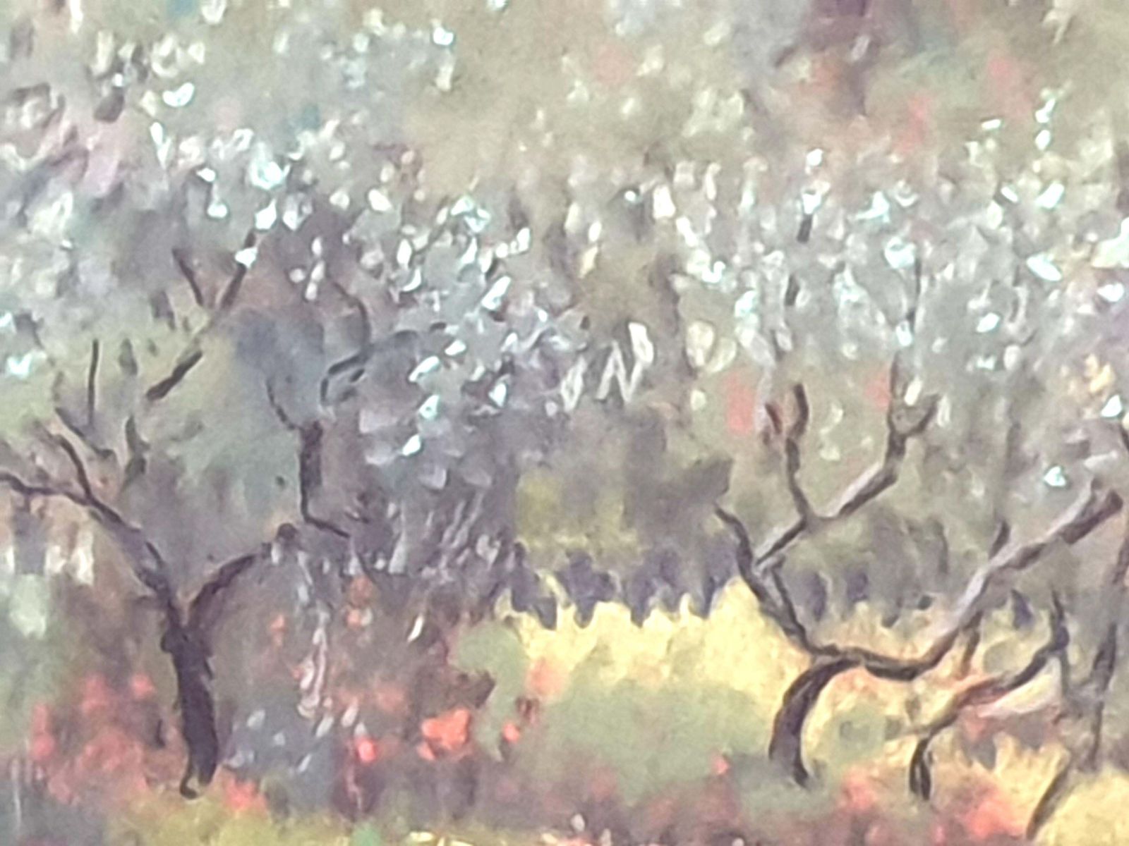 photo for sale Miranda Mcarthur Olive Grove And Poppies, Contemporary Impressionist Pastel On Paper.2022