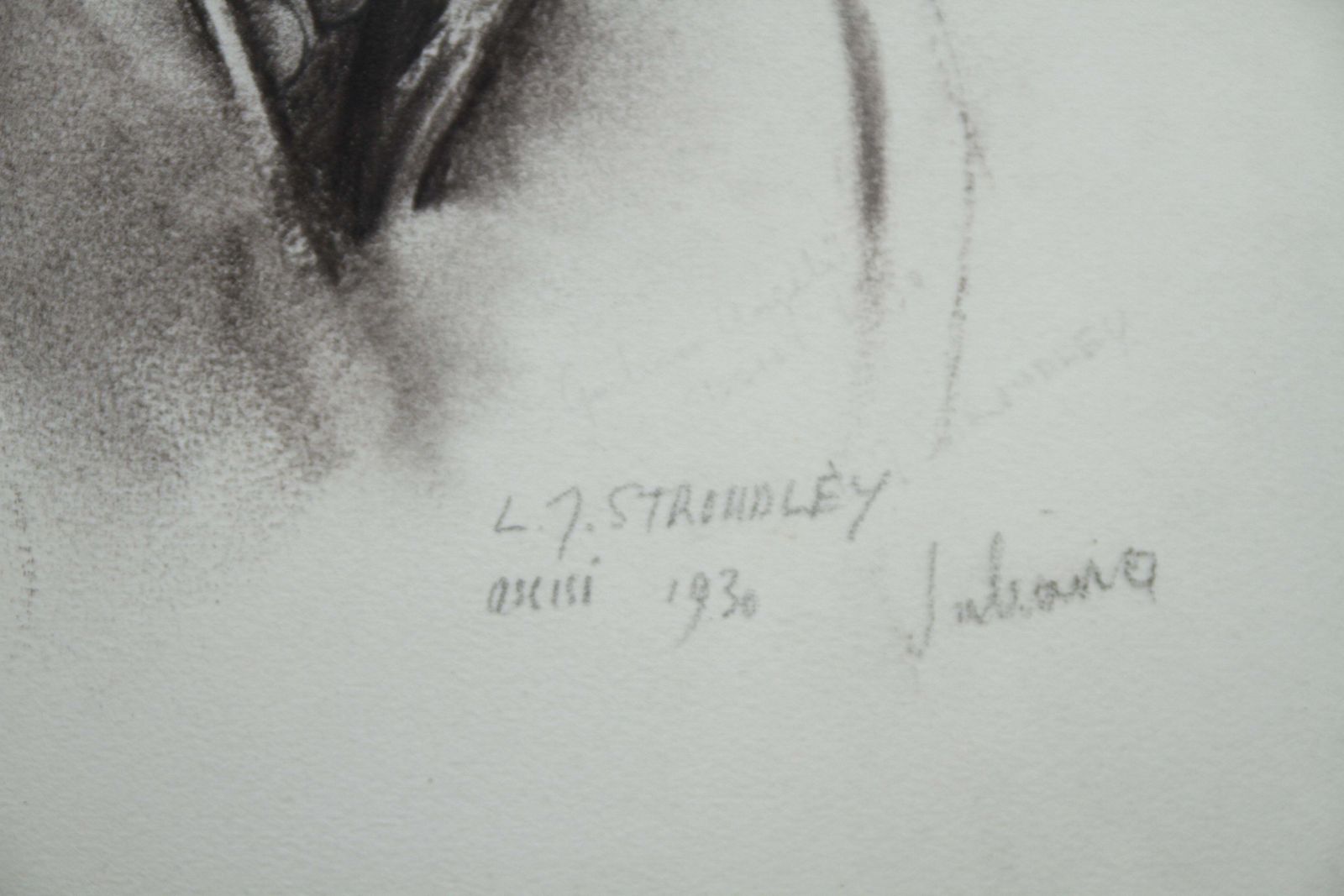 James Stroudleyportrait Of Juliana   British Art Deco Pencil Charcoal Drawing Of A Woman 1930 photo 2652.0