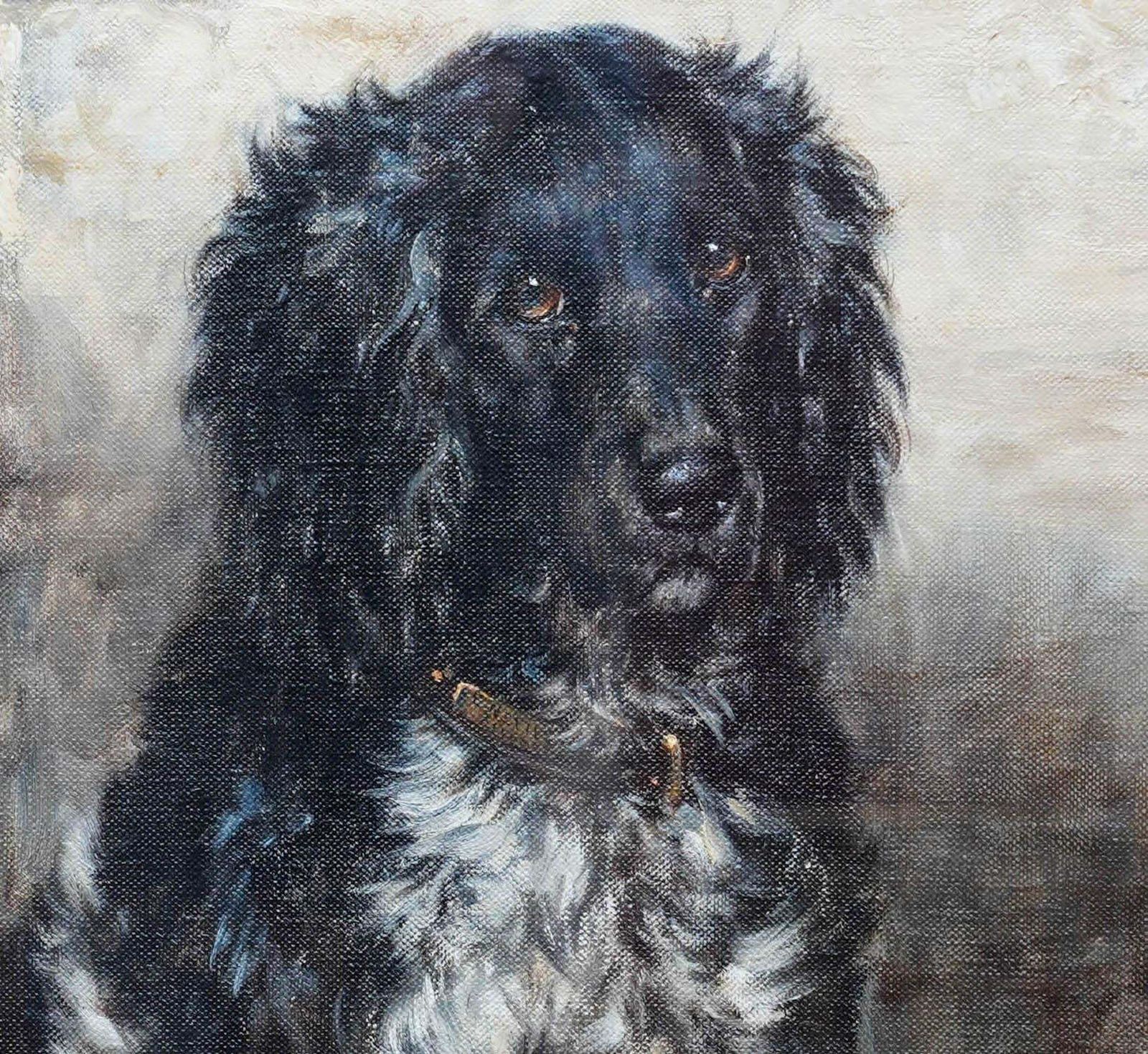 Robert Morleyportrait Of A Spaniel   British Edwardian Art Dog Portrait Oil Painting Circa 1910 photo vinterior