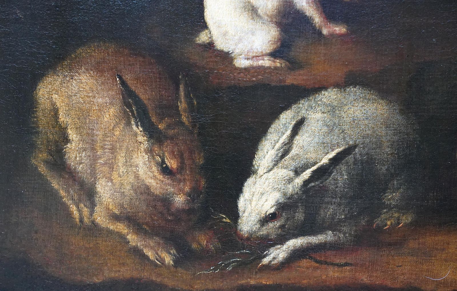 Rabbits Dove And Guinea Pig In An Interior   Italian Old Master Art Oil Paintingcirca 1650 photo furniture