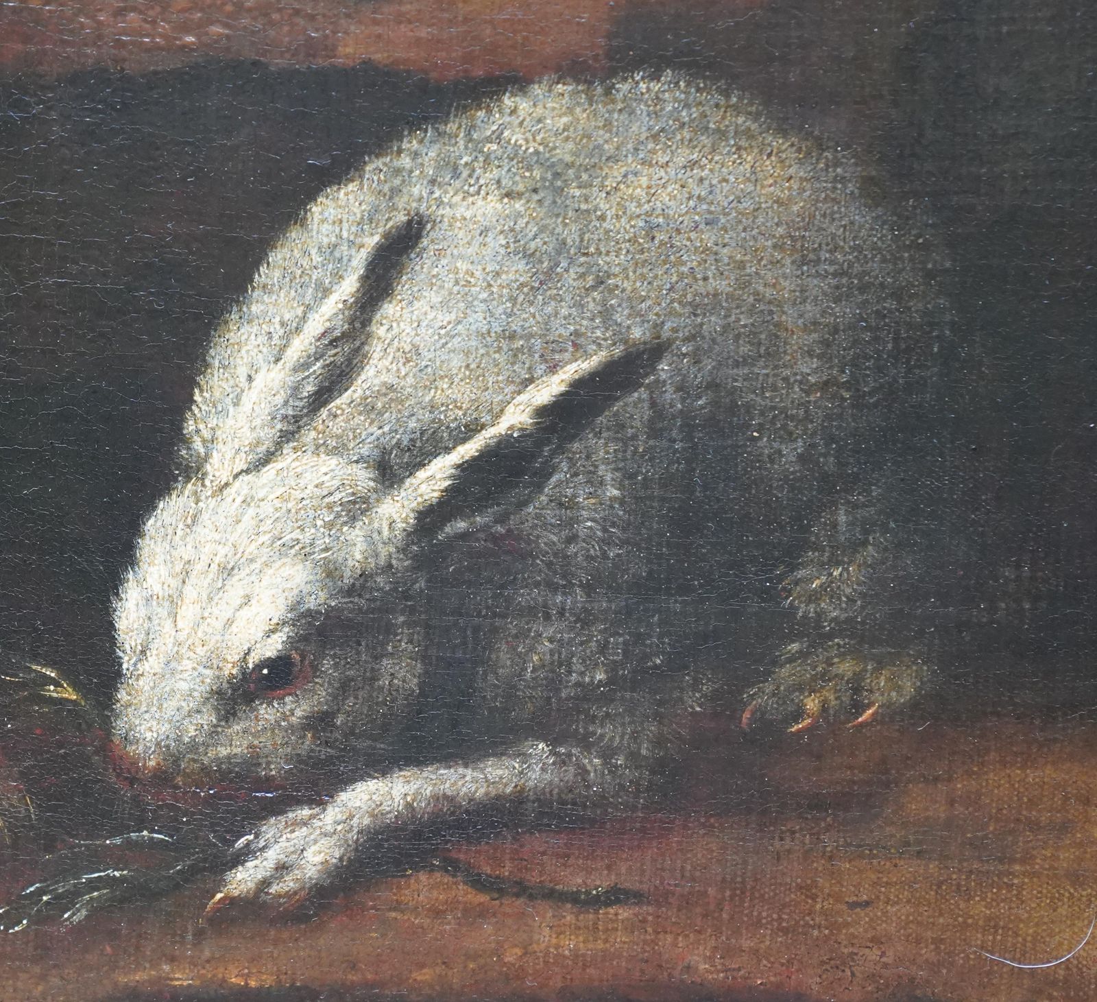 Rabbits Dove And Guinea Pig In An Interior   Italian Old Master Art Oil Paintingcirca 1650 photo 8161.0