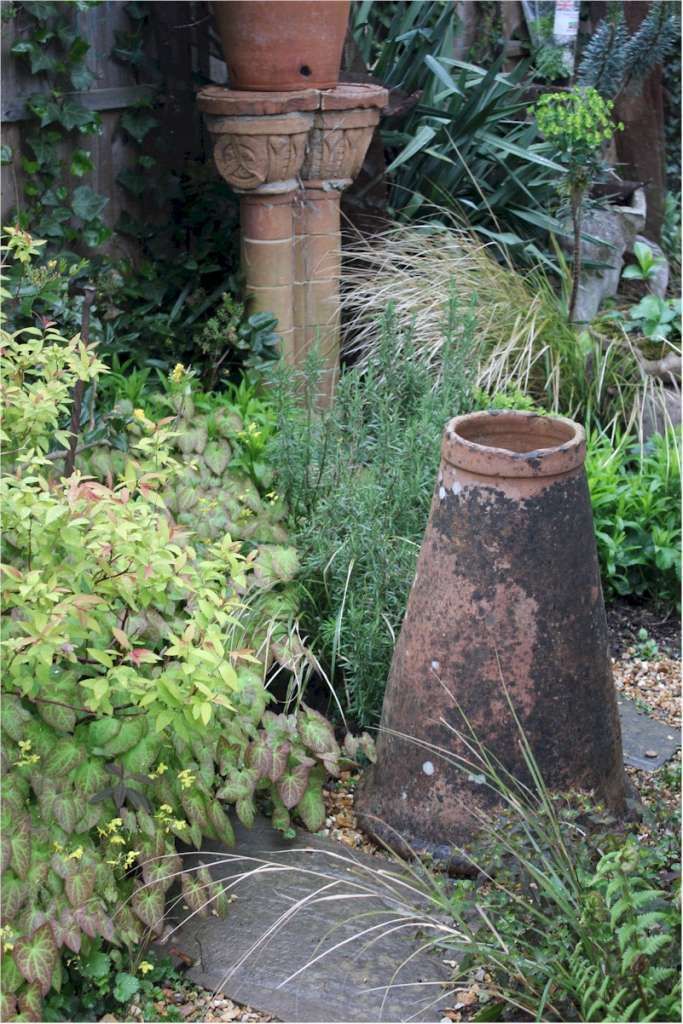 Antique Garden Terracotta Rhubarb Forcer photo 342.0