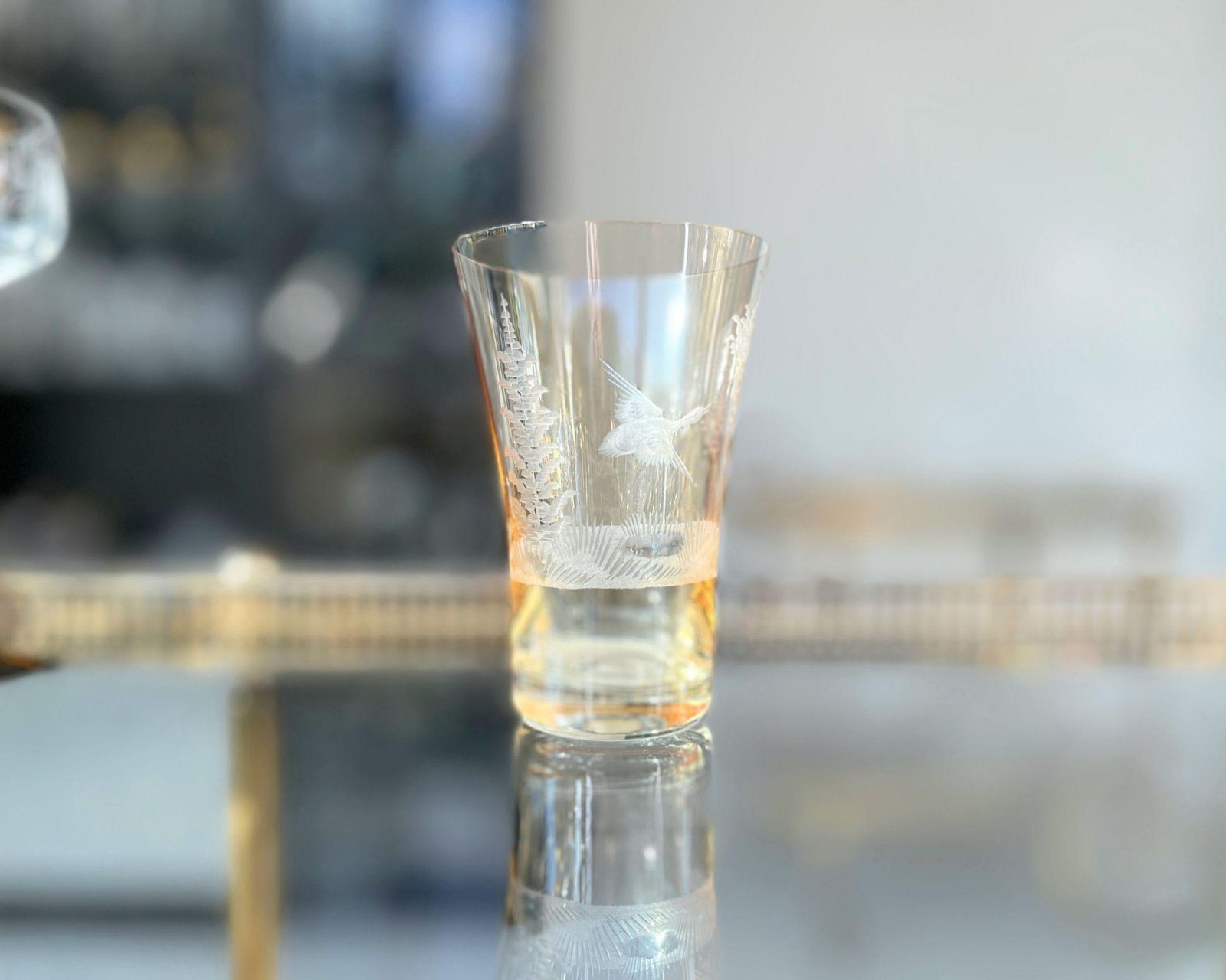 Engraved Color Water Glasses | 6pcs | Antique Glassware | Forest Decor photo Home Decor