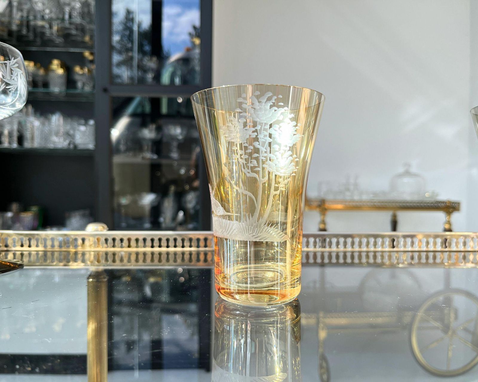 Engraved Color Water Glasses | 6pcs | Antique Glassware | Forest Decor photo vinterior