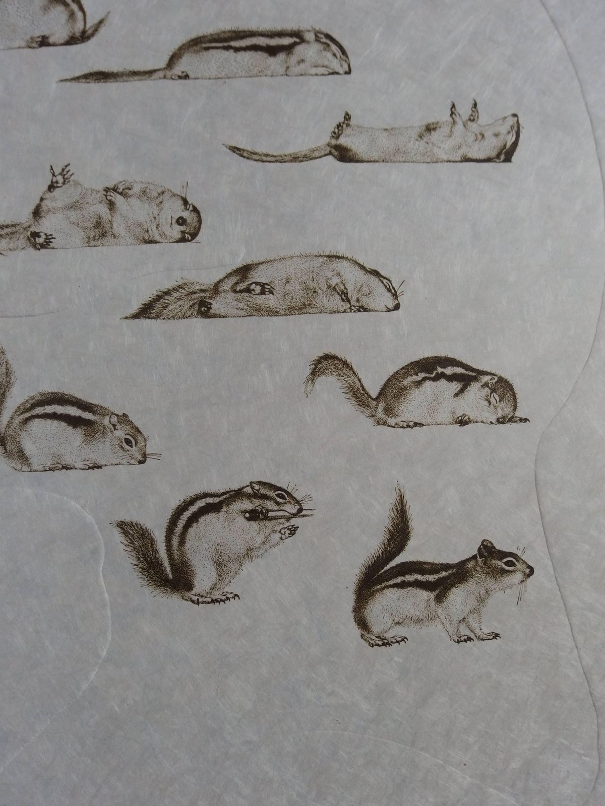 Salvador Dalí­Ten Recipes Of Immortality : Holography Of The Squirrel   Signed Etching1973 photo vinterior