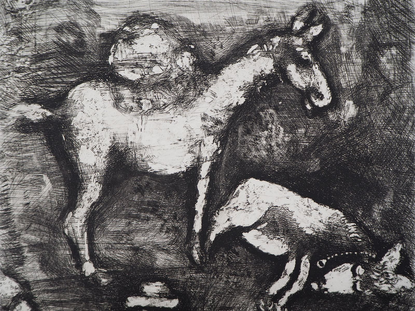 Marc Chagallthe Two Mules   Original Etching   Ref. Sorlier #1971952 photo for sale
