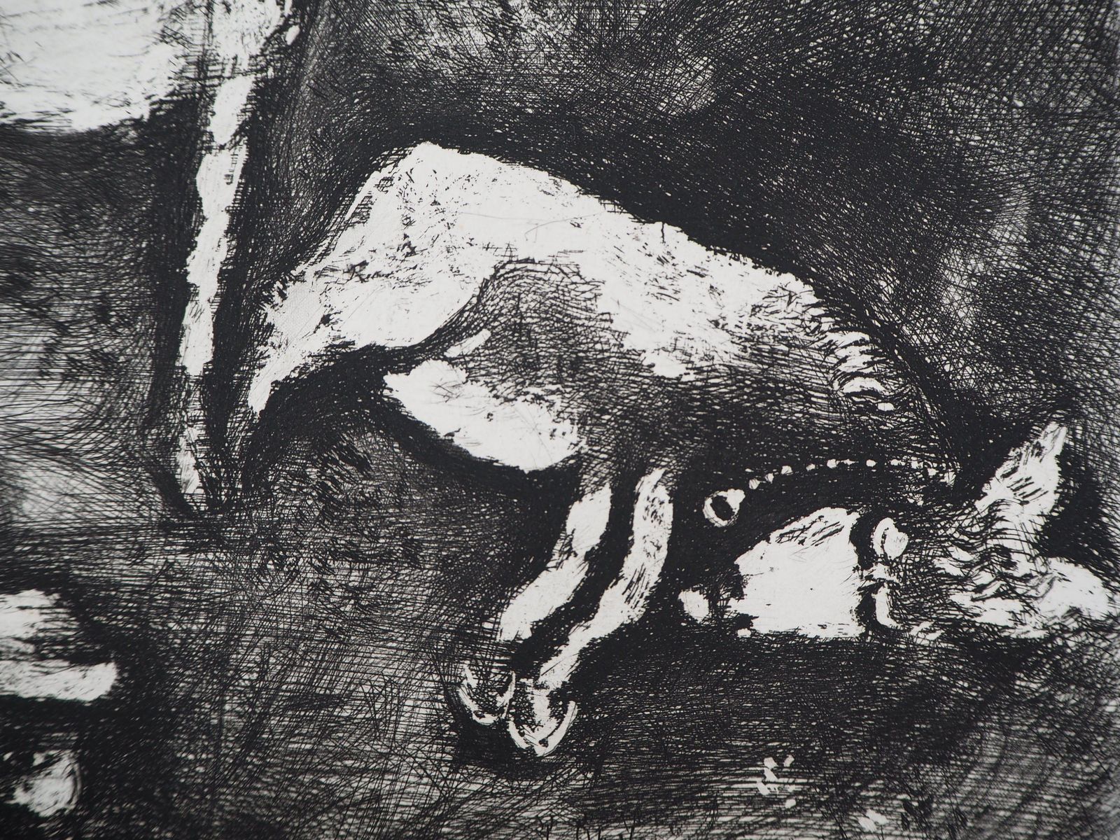 Marc Chagallthe Two Mules   Original Etching   Ref. Sorlier #1971952 photo 680.0