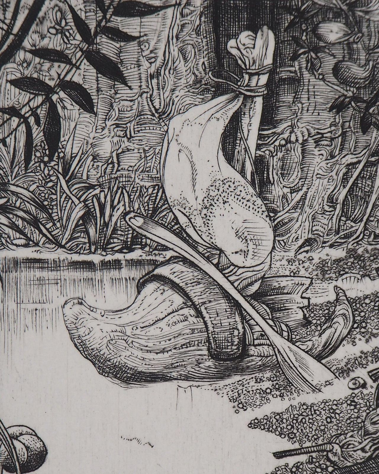 Philippe Mohlitzsurrealist Wetlands, 1986   Original Handsigned Etching1986 photo 340.0