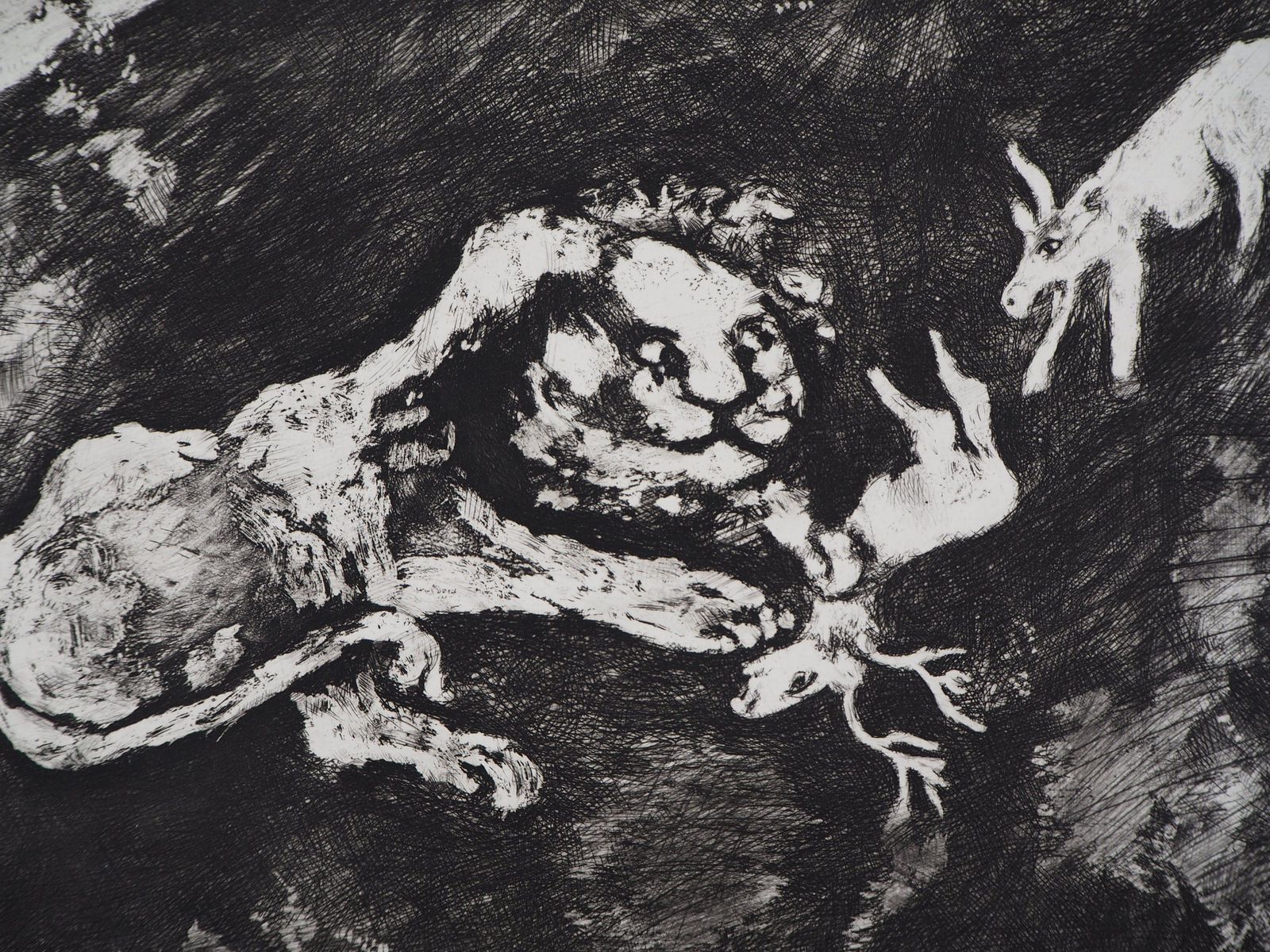 Marc Chagallthe Goats And The Lion   Original Etching   Ref. Sorlier #1981952 photo for sale