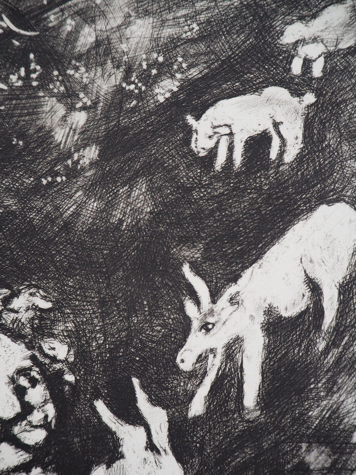 Marc Chagallthe Goats And The Lion   Original Etching   Ref. Sorlier #1981952 photo 680.0