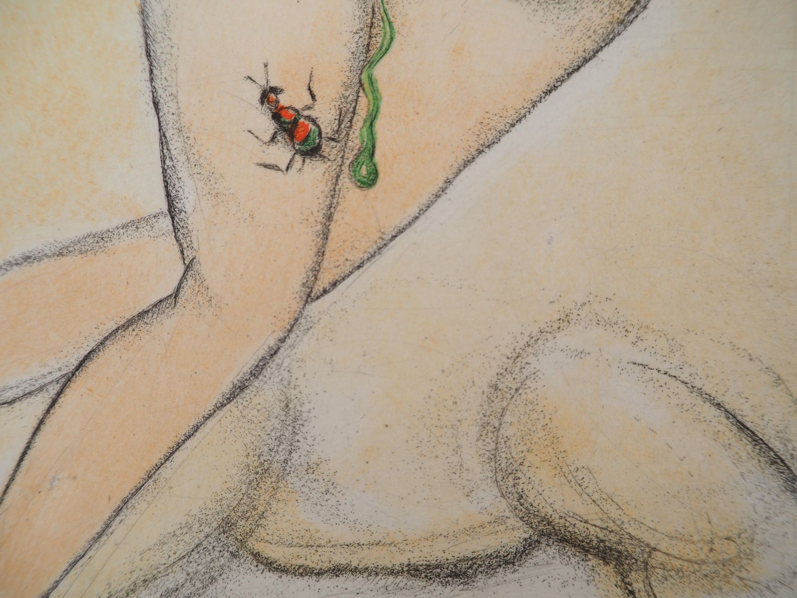 Salvador Dalí­Casanova : Woman And The Truffle Pig   Original Etching (Field #67 4 H)1967 photo buy