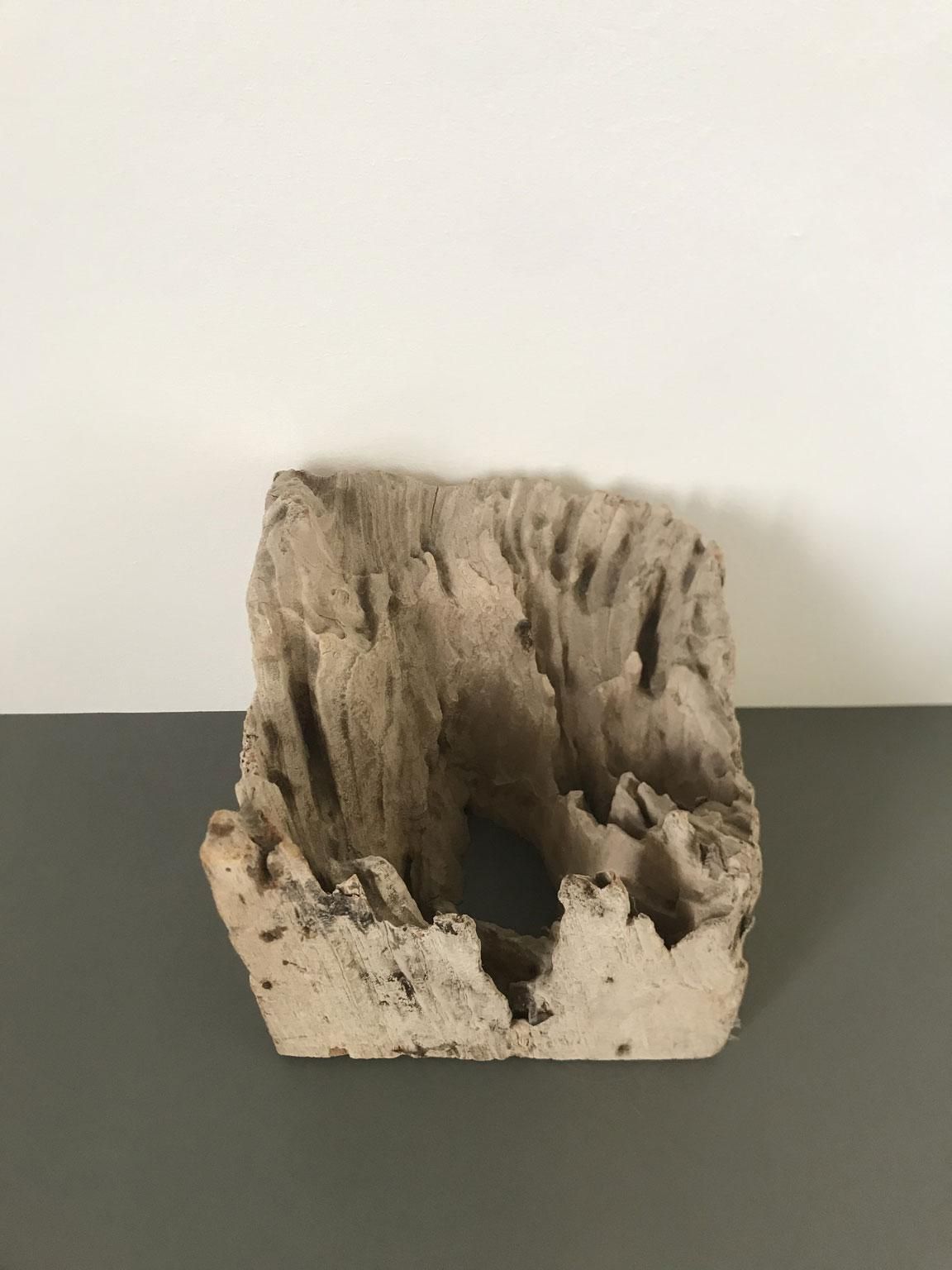 Organic Modern Natural Wooden Hand Carved Abstract Sculpture Or Paperweights photo vinterior