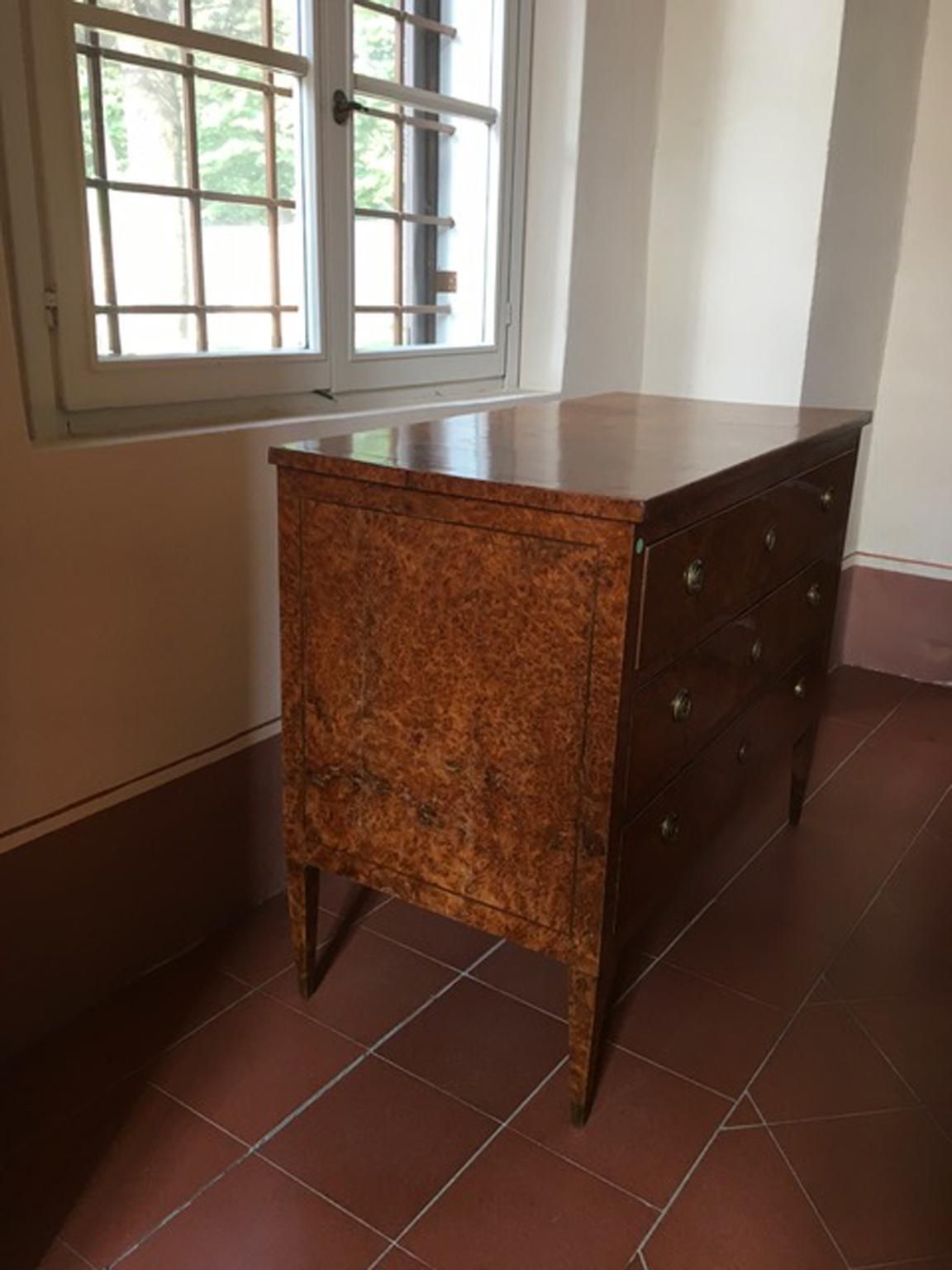 Italy Late 18th Century Regency Elmwood Root Chest Of Drawers photo buy
