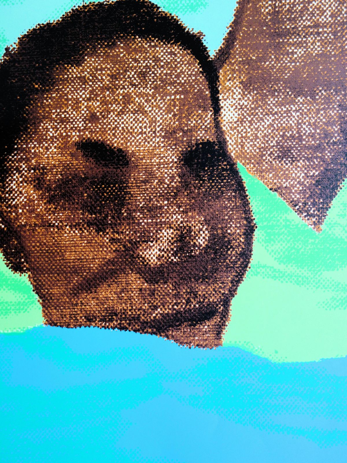 Ronald Brooks Kitajswimmer   Screenprint (Olympic Games Munich 1972)1972 photo 171.0