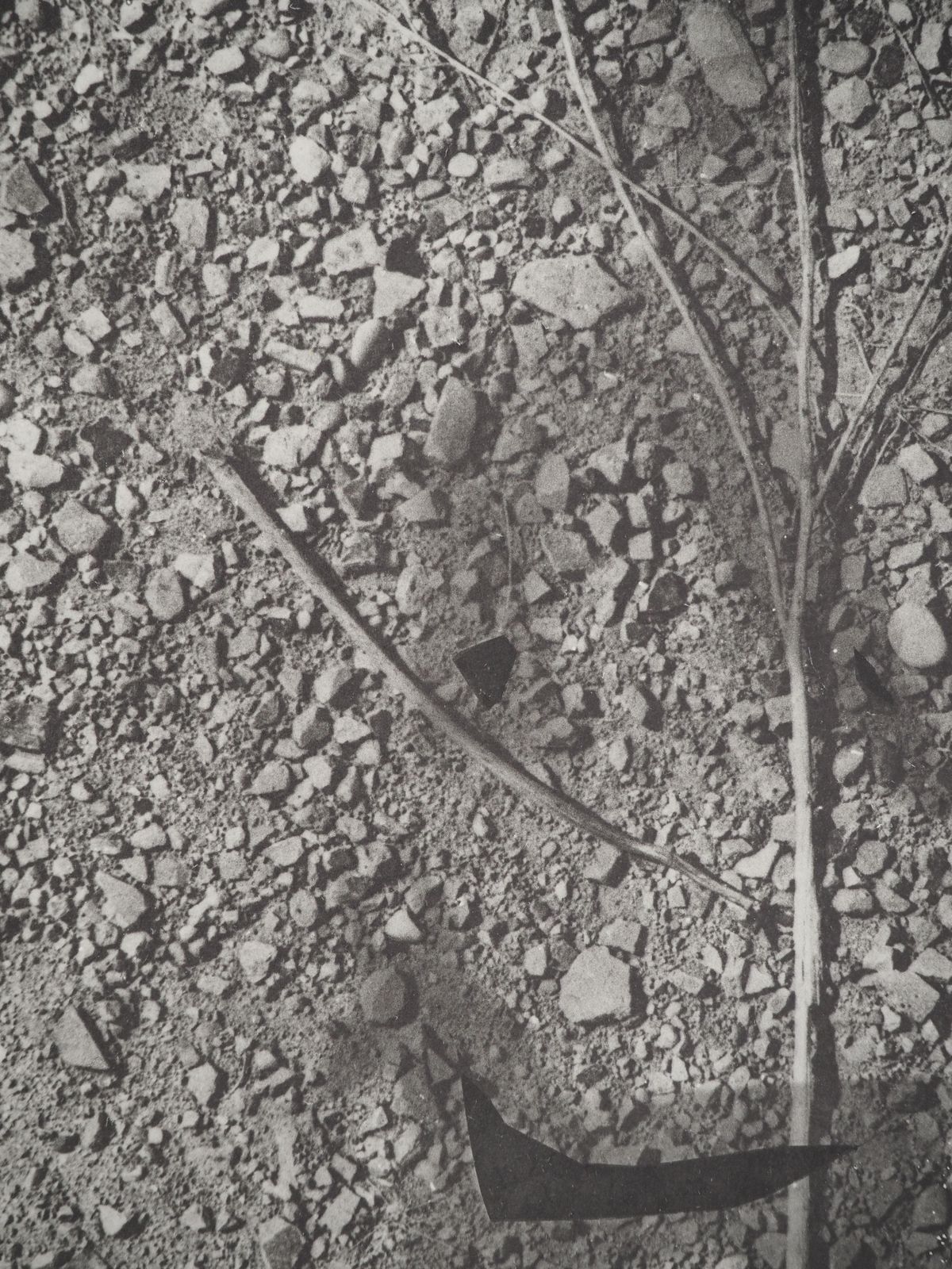 Pablo Picassodiurnes:  The Forest Floor   Original Collotype And Stencil (Cramer #115)1962 photo furniture