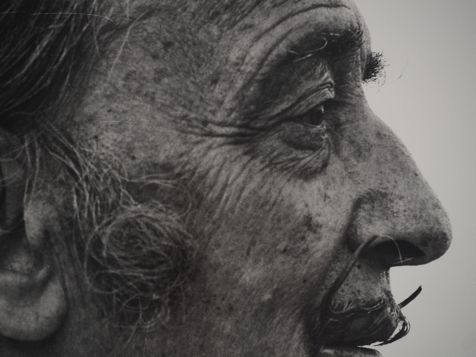 Marc Lacroixdalí Staring At The Horizon   Original Gelatin Silver Photography, Signed1971 photo vinterior