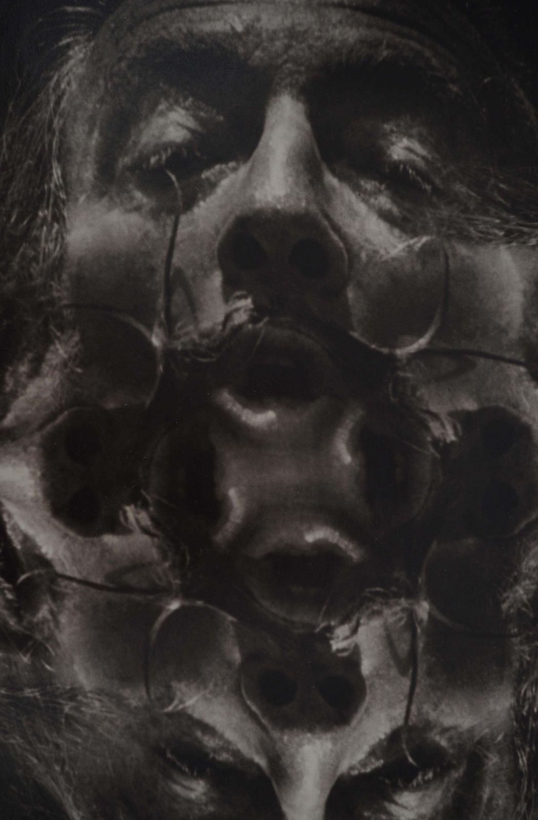 Marc Lacroixkaleidoscope Of Dalí   Original Gelatin Silver Photography, Signed And Ltd / 501971 photo vinterior