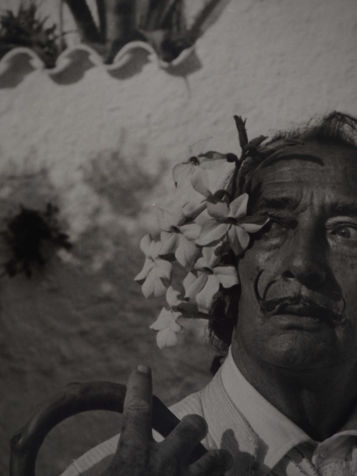 Marc Lacroixdalí With White Flowers   Original Gelatin Silver Photography, Signed1971 photo 591.0