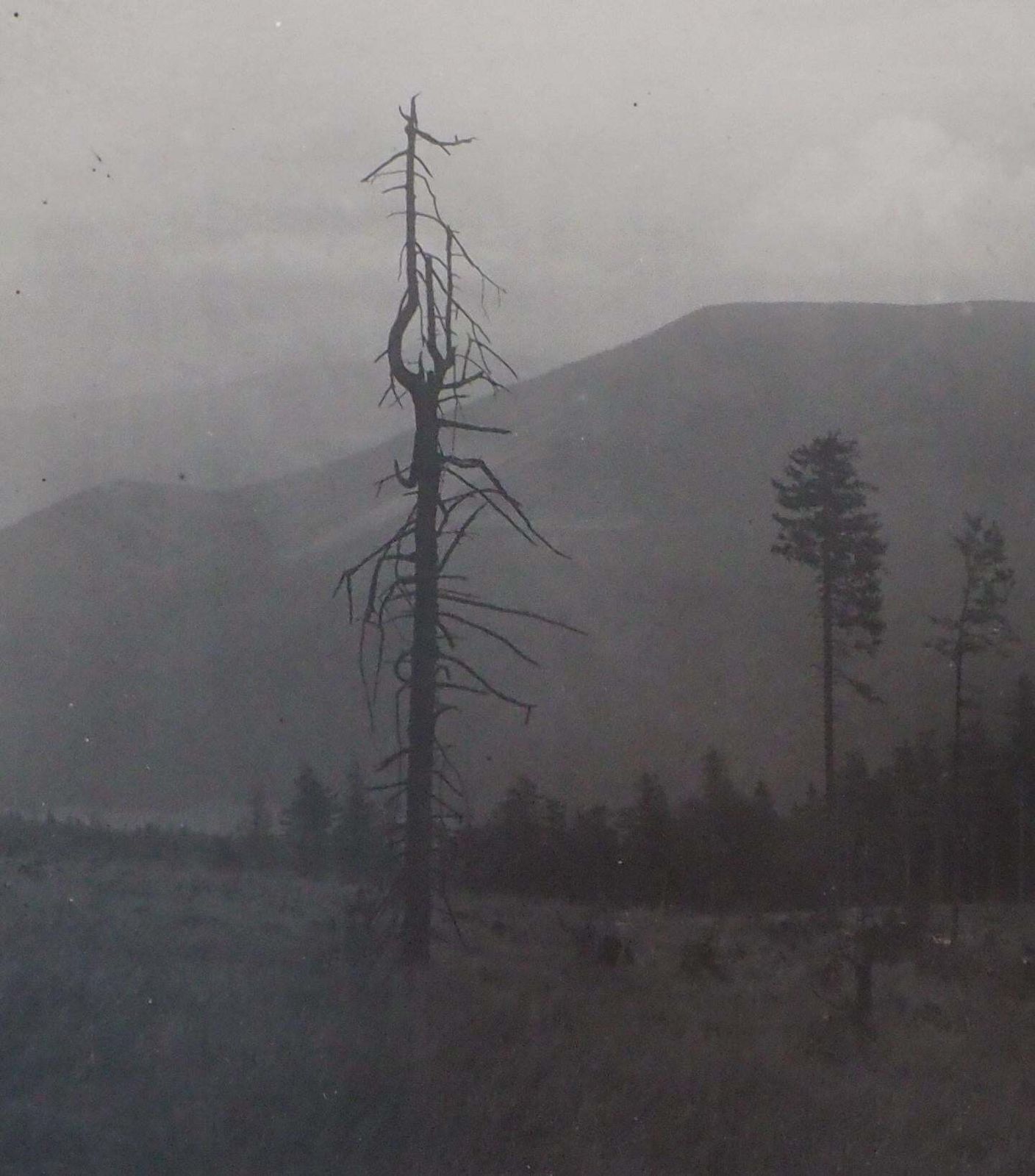Josef Sudekbeskydy : Czech Mountains   Original Gelatin Silver Photograph, 19561956 photo Art