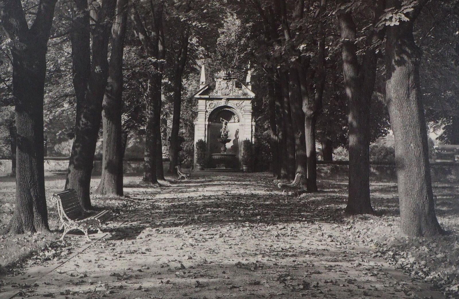 Josef Sudekprague : Royal Gardens   Original Hand Signed Gelatin Silver Photograph, 19761976 photo for sale