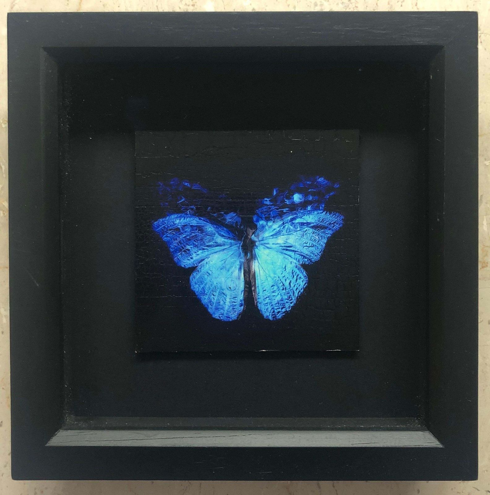 Alexander James Hamilton Transparency Of A Dream [2.0 X]2019