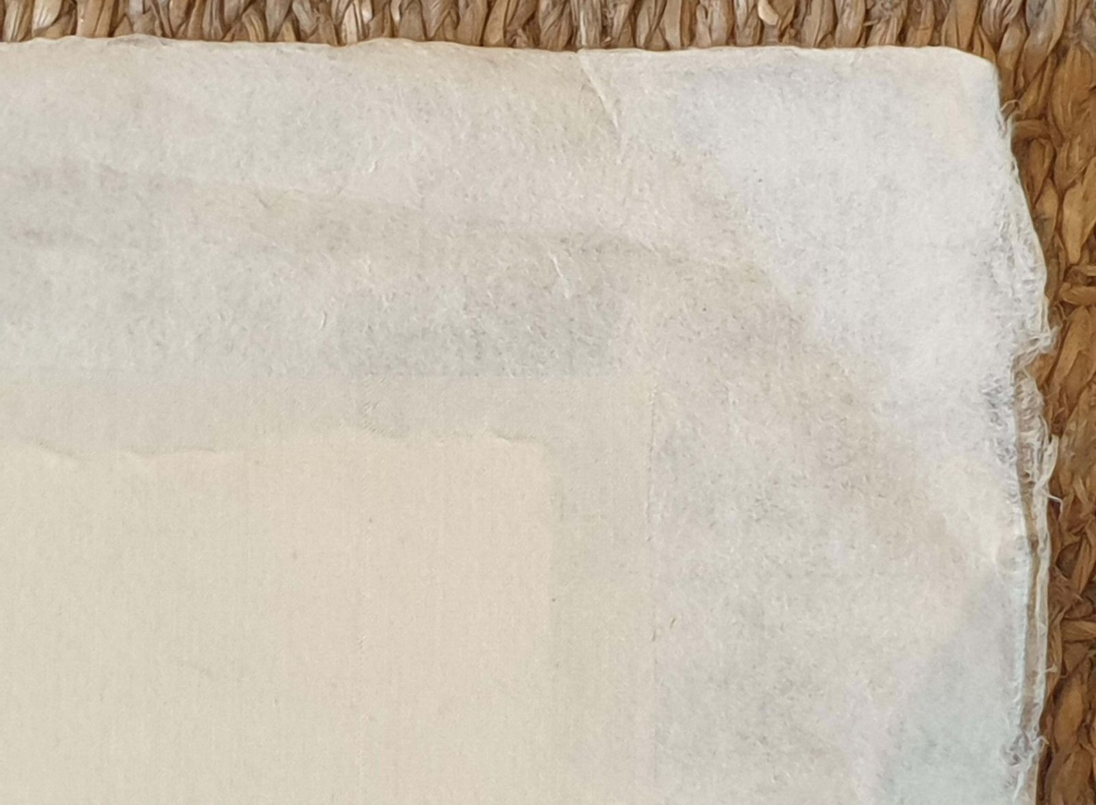 Art La Roche Laffittestudy Of A Butterfly, Watercolour On Silk Applied To Handmade Paper. photo