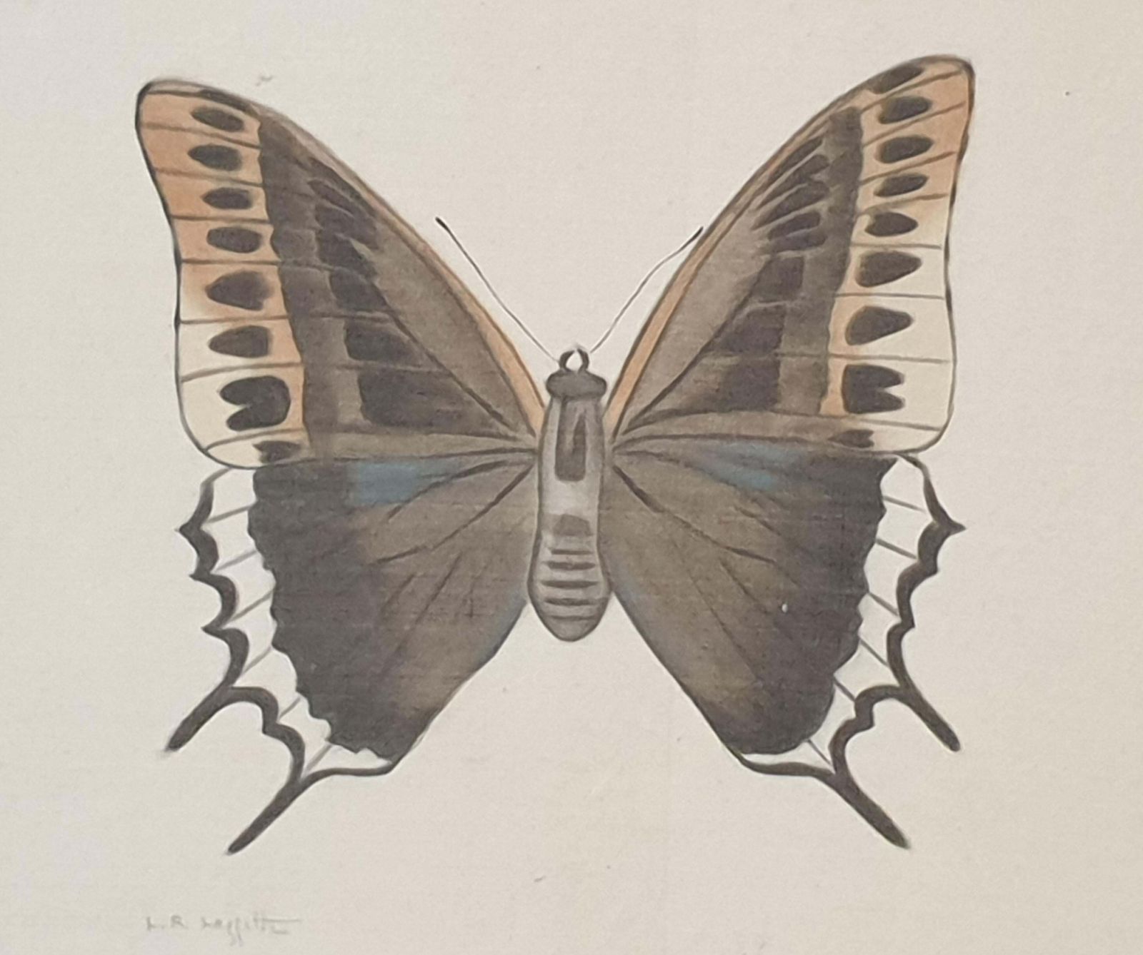 La Roche Laffittestudy Of A Butterfly, Watercolour Silk Applied Handmade Paper. La Roche Laffitte photo furniture