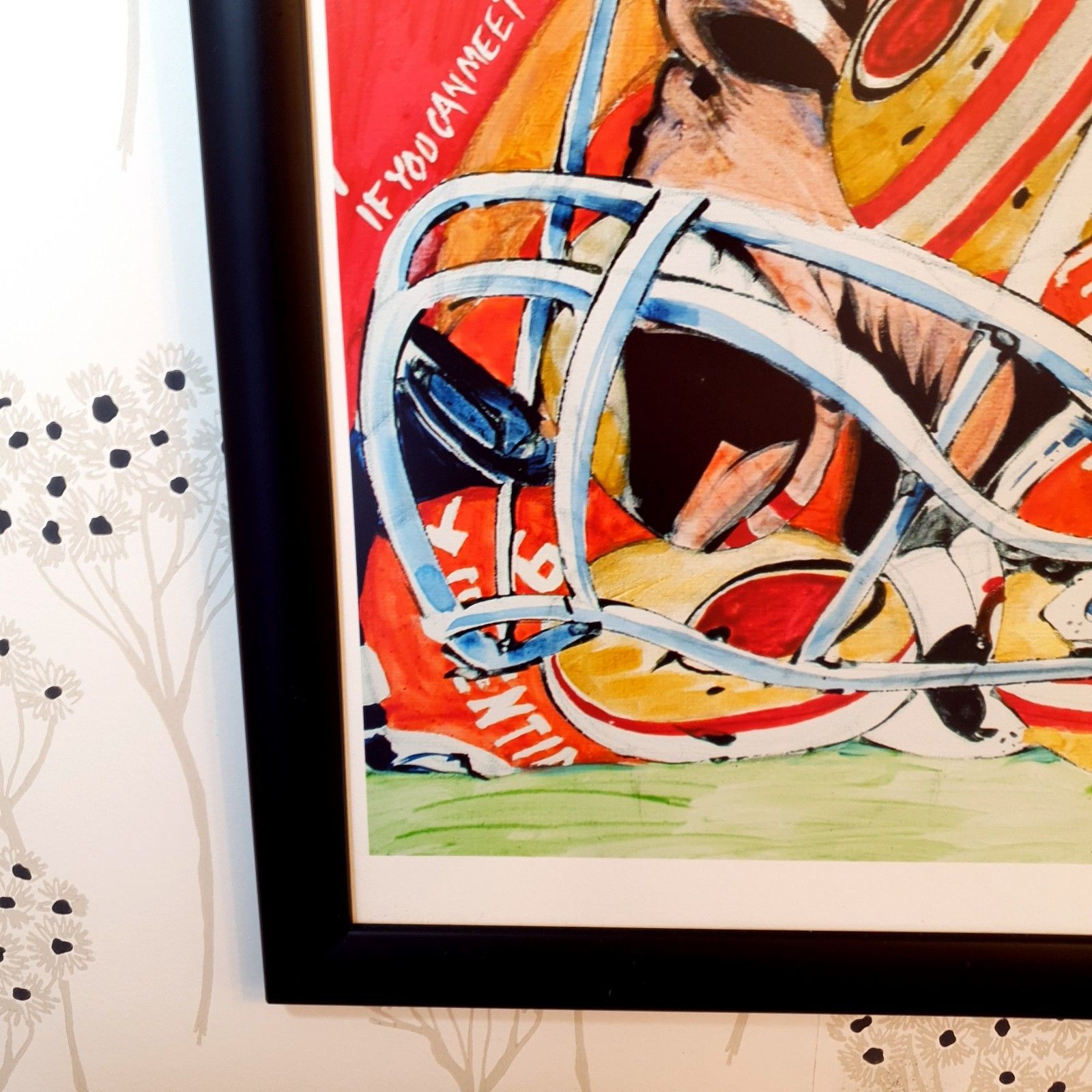 photo furniture San Francisco 49ers Print Nfl American Football Ltd Ed 8/42 Framed Stefan Moriame