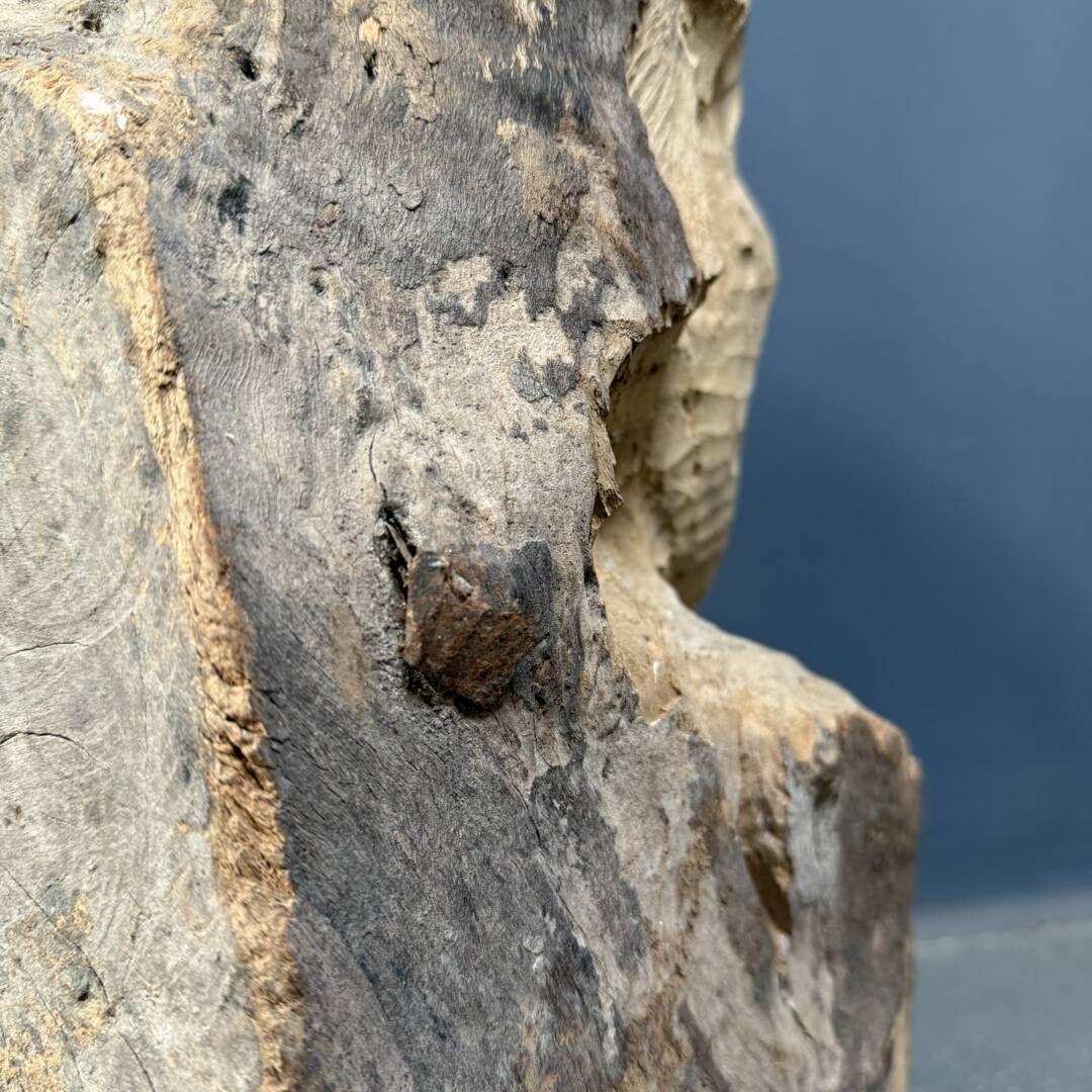 photo for sale Large Size Head Or Face Carved From Wooden Trunk